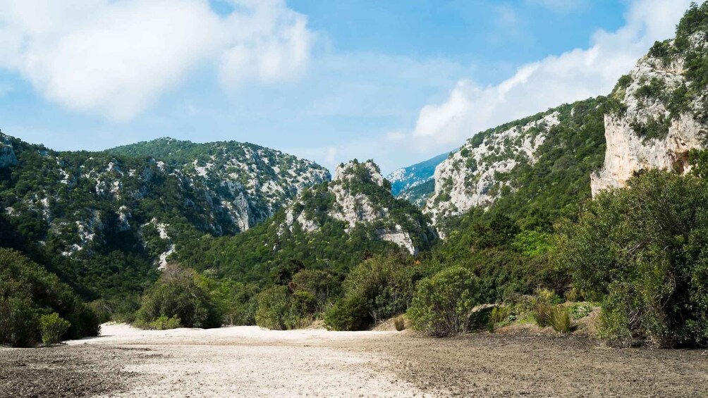 Picture 16 for Activity From Baunei: Cala Luna and Dorgali Full-Day Guided Trek