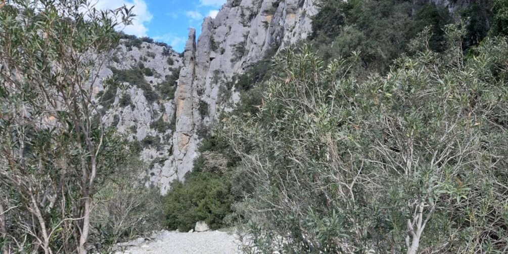 Picture 13 for Activity From Baunei: Cala Luna and Dorgali Full-Day Guided Trek