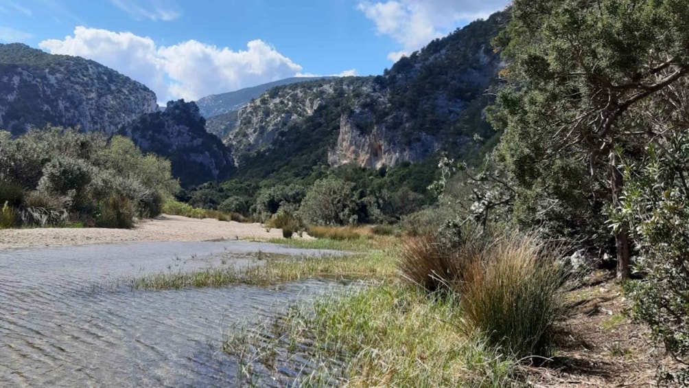 Picture 15 for Activity From Baunei: Cala Luna and Dorgali Full-Day Guided Trek