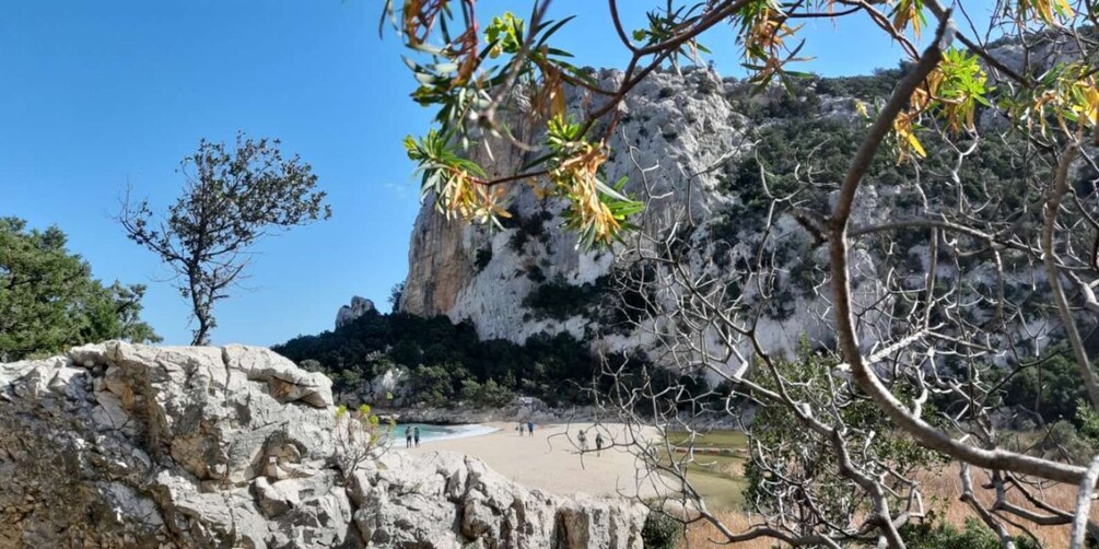 Picture 3 for Activity From Baunei: Cala Luna and Dorgali Full-Day Guided Trek