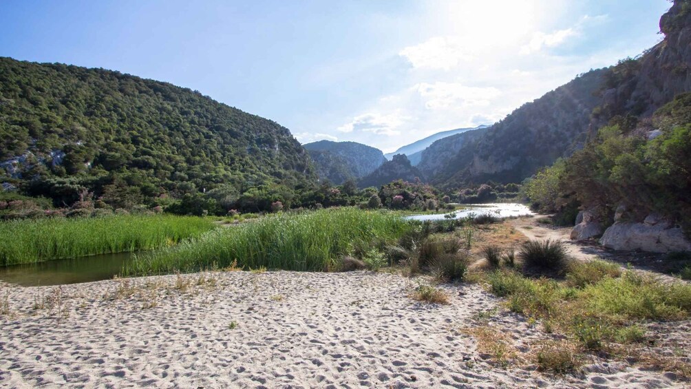 Picture 7 for Activity From Baunei: Cala Luna and Dorgali Full-Day Guided Trek