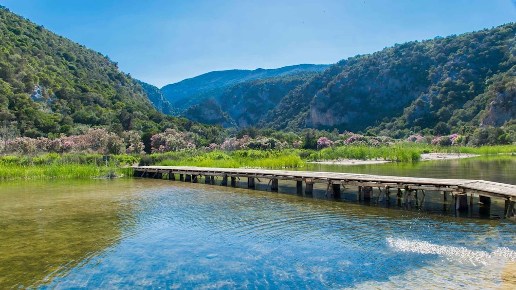 Picture 14 for Activity From Baunei: Cala Luna and Dorgali Full-Day Guided Trek