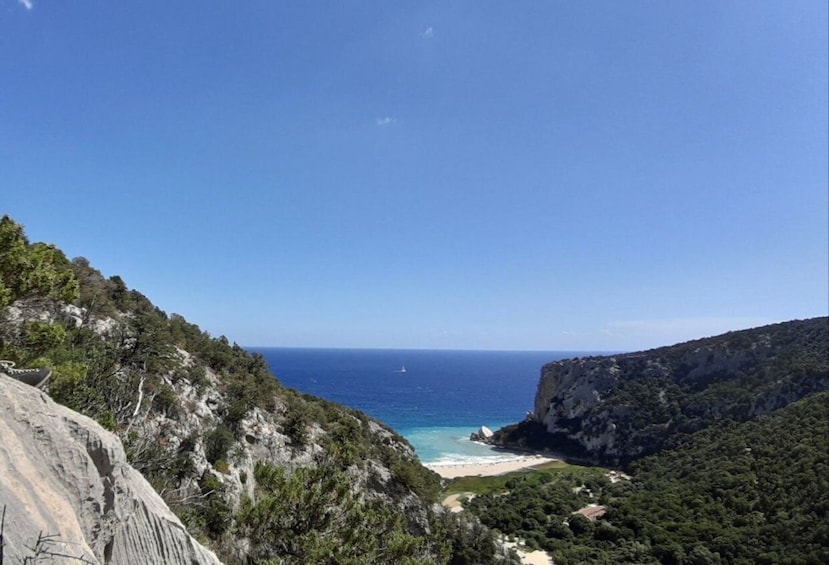 Picture 8 for Activity From Baunei: Cala Luna and Dorgali Full-Day Guided Trek