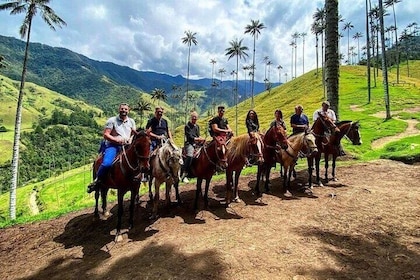 Tour Salento, Cócora + Horseback Riding from Pereira or Armenia