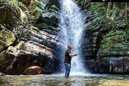 Salento, Cócora + Santa Rita Waterfall from Pereira or Armenia