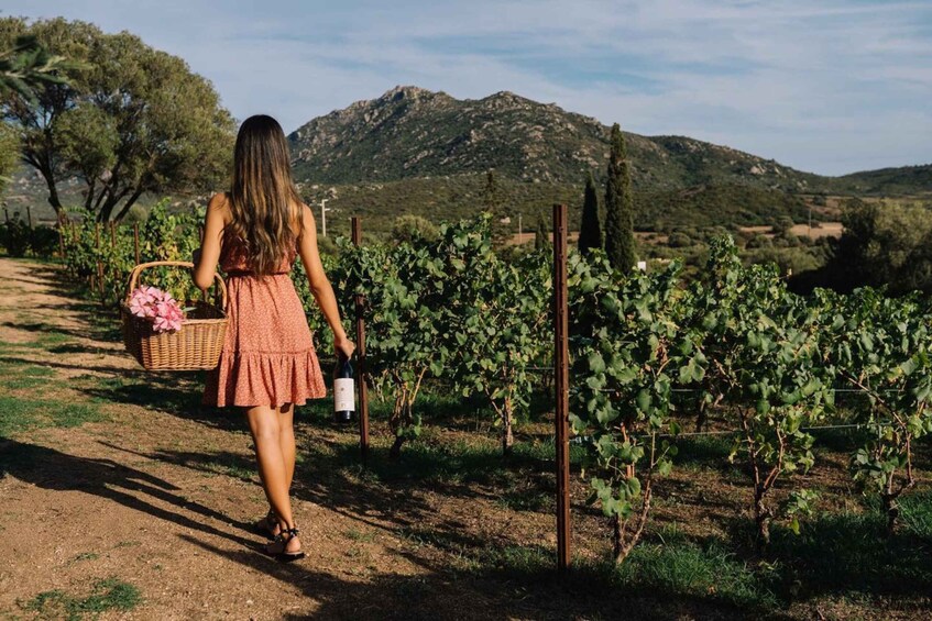 Picture 10 for Activity Olbia: Gallura Winery Guided Tour with Tasting