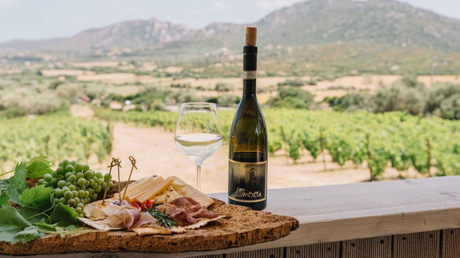 Olbia: Gallura Winery Guided Tour with Tasting
