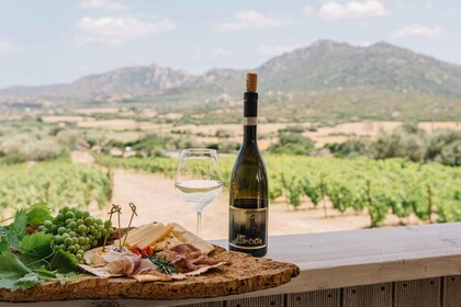 Olbia: visita guiada a la bodega Gallura con degustación