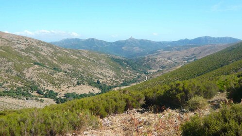 Von Arzana: Trekking zur Punta La Marmora mit Aperitif