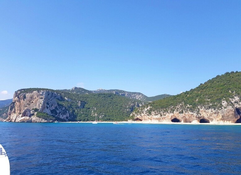 Picture 4 for Activity From Cala Gonone: Orosei Gulf Cruise with Stops