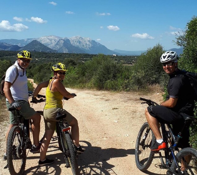 Picture 7 for Activity Dorgali: E-Bike Rental