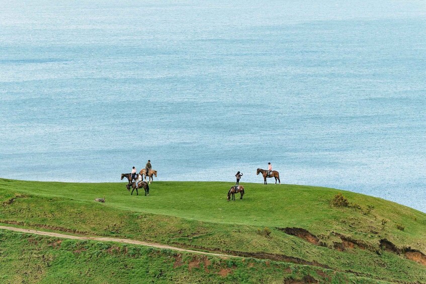 Picture 3 for Activity Rotorua: Guided Horseback Riding Day Trip on Mt. Ngongotaha