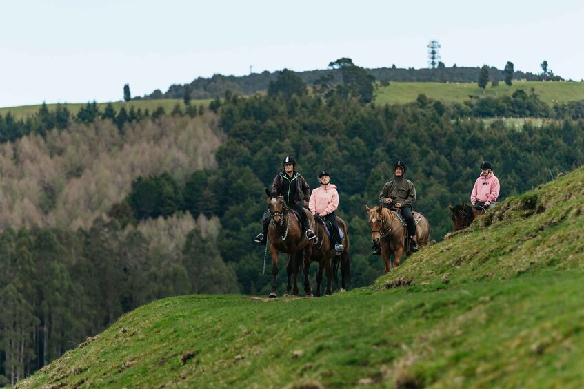 Picture 1 for Activity Rotorua: Guided Horseback Riding Day Trip on Mt. Ngongotaha