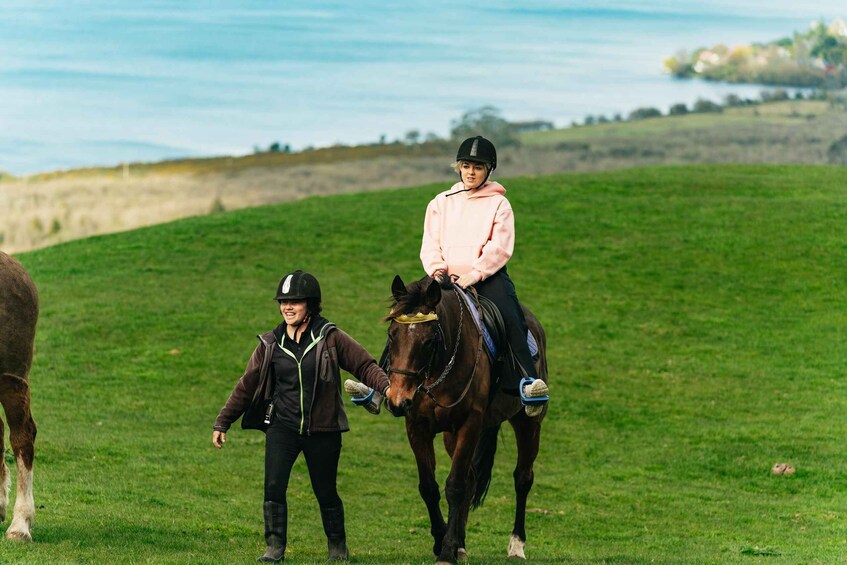 Picture 2 for Activity Rotorua: Guided Horseback Riding Day Trip on Mt. Ngongotaha