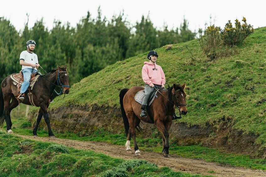 Picture 10 for Activity Rotorua: Guided Horseback Riding Day Trip on Mt. Ngongotaha