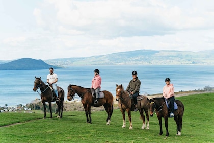 Rotorua: Escursione guidata a cavallo di un giorno sul Monte Ngongotaha