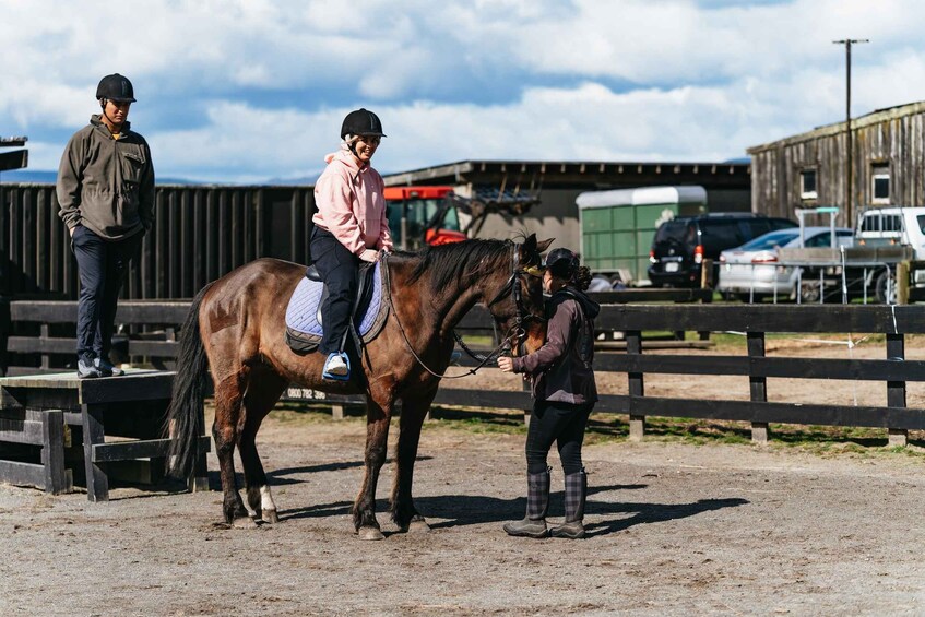 Picture 8 for Activity Rotorua: Guided Horseback Riding Day Trip on Mt. Ngongotaha