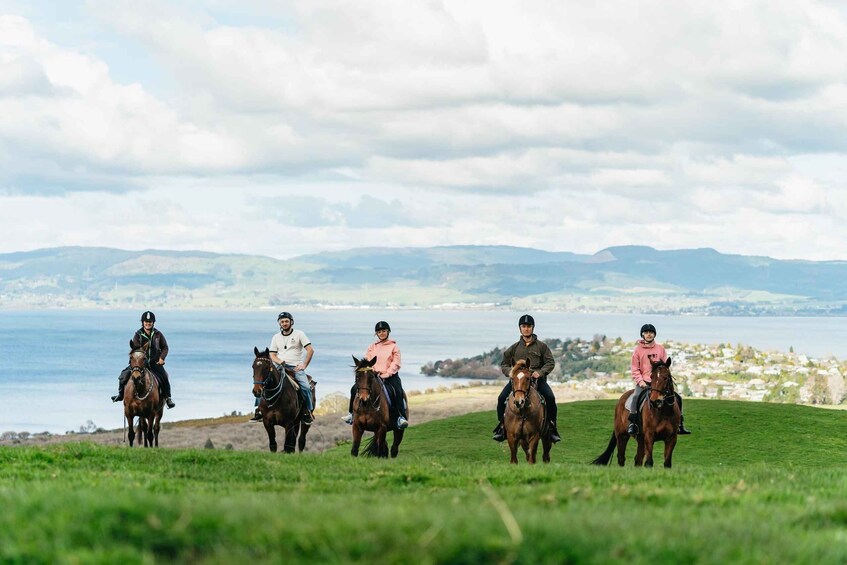 Picture 14 for Activity Rotorua: Guided Horseback Riding Day Trip on Mt. Ngongotaha