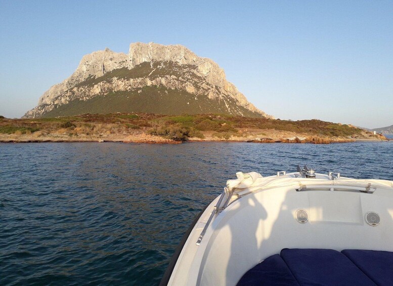 Picture 11 for Activity From Porto San Paolo: 4-hour boat tour to Tavolara