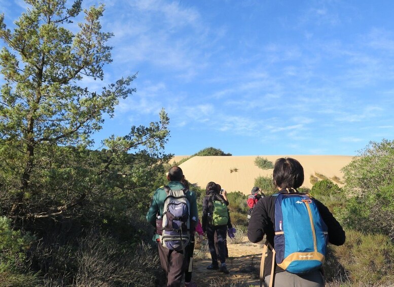 Picture 13 for Activity From Cagliari: Piscinas Old Mines and Montevecchio Tour