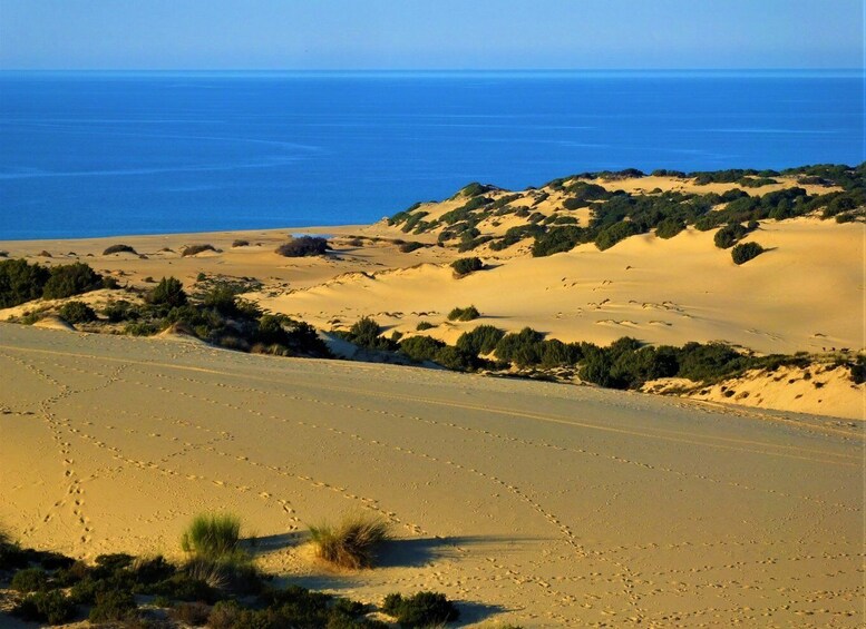 Picture 1 for Activity From Cagliari: Piscinas Old Mines and Montevecchio Tour