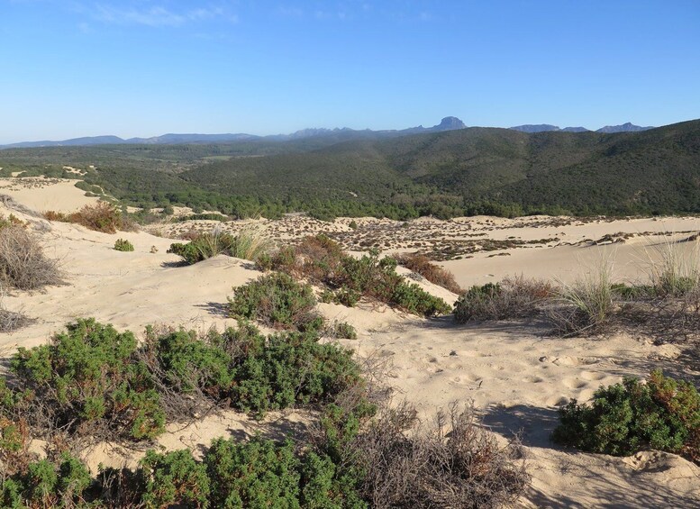 Picture 15 for Activity From Cagliari: Piscinas Old Mines and Montevecchio Tour