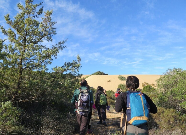 Picture 13 for Activity From Cagliari: Piscinas Old Mines and Montevecchio Tour