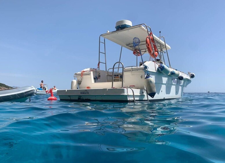 Picture 6 for Activity From Cala Gonone: Gulf of Orosei Speedboat Trip and Aperitif