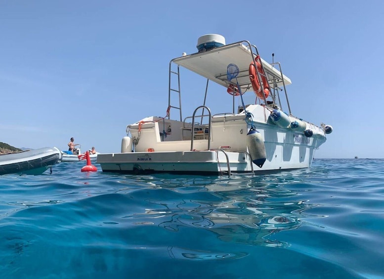 Picture 6 for Activity From Cala Gonone: Gulf of Orosei Speedboat Trip and Aperitif