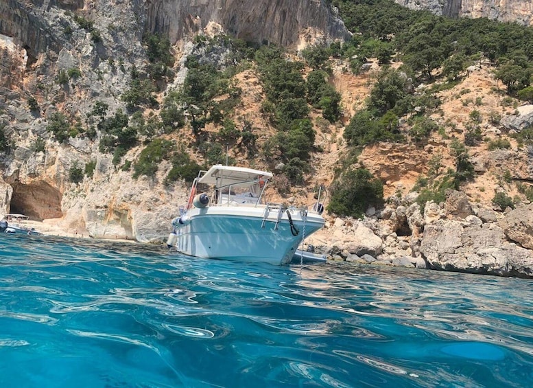 Picture 12 for Activity From Cala Gonone: Gulf of Orosei Speedboat Trip and Aperitif