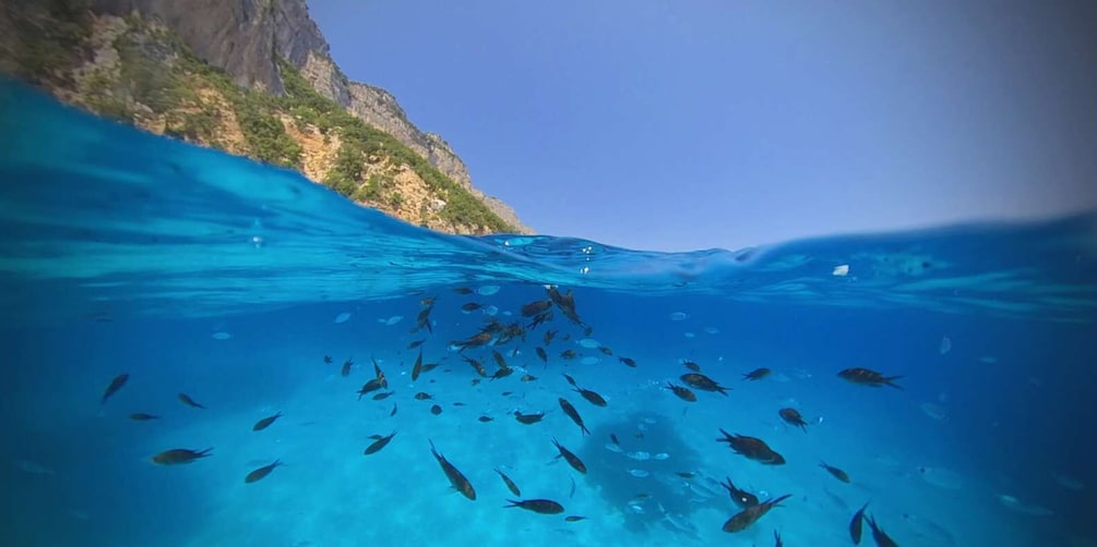 Picture 1 for Activity From Cala Gonone: Gulf of Orosei Speedboat Trip and Aperitif