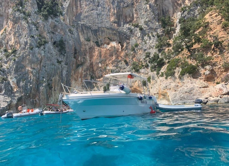 From Cala Gonone: Gulf of Orosei Speedboat Trip and Aperitif