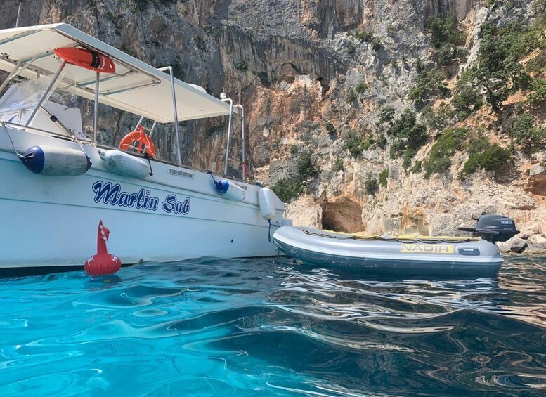 Picture 11 for Activity From Cala Gonone: Gulf of Orosei Speedboat Trip and Aperitif