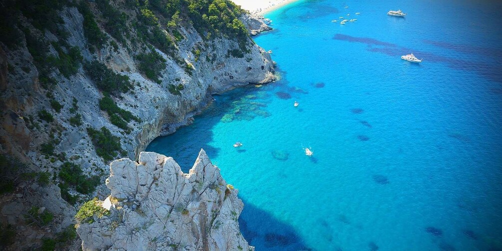 Picture 10 for Activity From Cala Gonone: Gulf of Orosei Speedboat Trip and Aperitif
