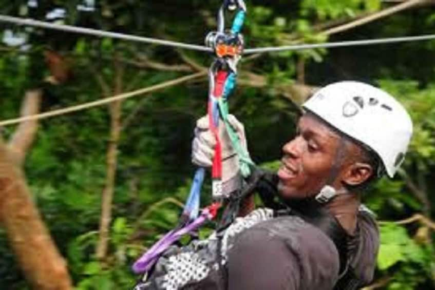 Picture 3 for Activity Rainforest Zipline Mystic Mountain Tour fr Montego Bay