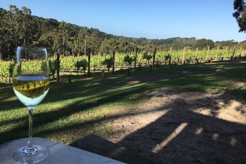 Swan Valley Wine Discovery: Private Tour from Perth