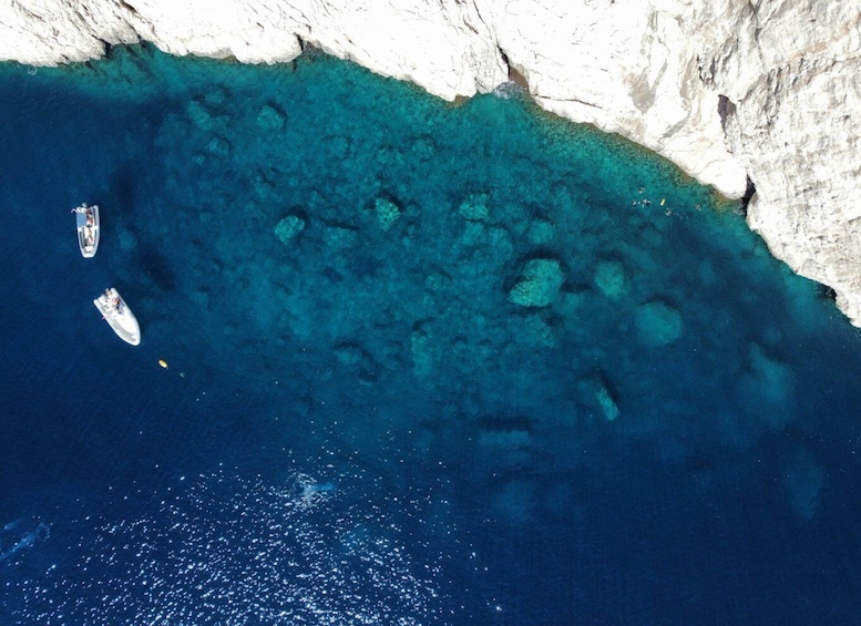 Picture 6 for Activity San Teodoro: Snorkelling in Tavolara Marine Protected Area
