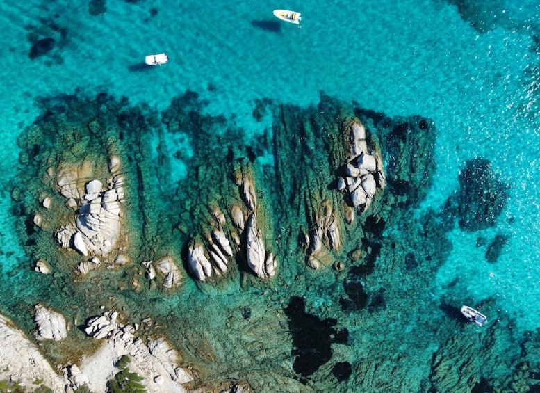 Picture 12 for Activity San Teodoro: Snorkelling in Tavolara Marine Protected Area