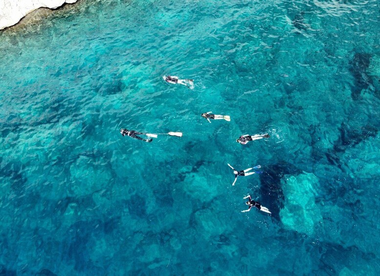 Picture 11 for Activity San Teodoro: Snorkeling in Tavolara Marine Protected Area