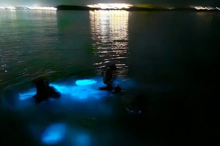 Martha Brae Bamboo Rafting & Luminous Lagoon Sunset, Swim& Dinner