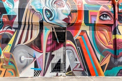Wynwood Graffiti Tour and Workshop: Create Your Own Street Art