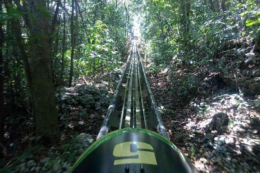 Picture 9 for Activity Rainforest Bobsled Mystic Mountain Tour fr Montego Bay