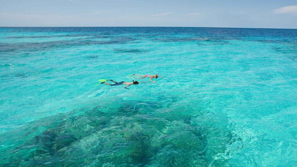 Picture 4 for Activity Cala Gonone: Snorkeling in the Orosei Gulf