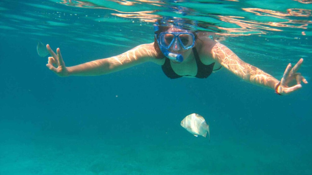 Picture 3 for Activity Cala Gonone: Snorkeling in the Orosei Gulf