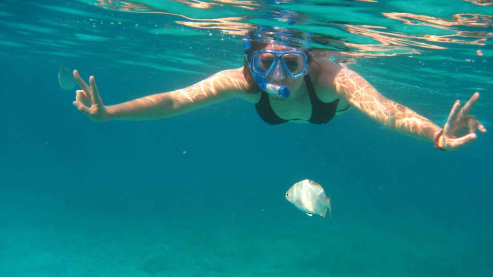 Picture 3 for Activity Cala Gonone: Snorkeling in the Orosei Gulf