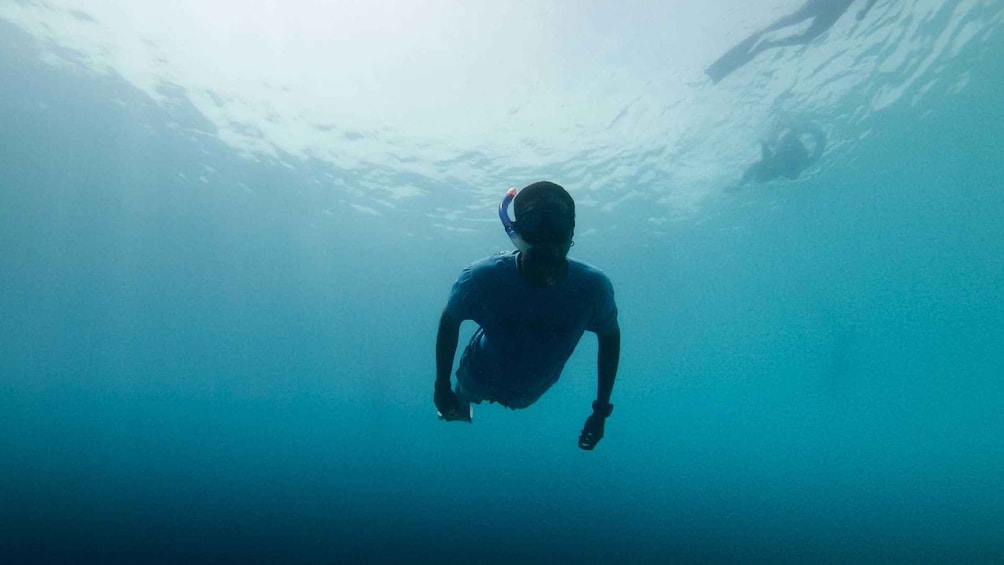 Picture 6 for Activity Cala Gonone: Snorkeling in the Orosei Gulf