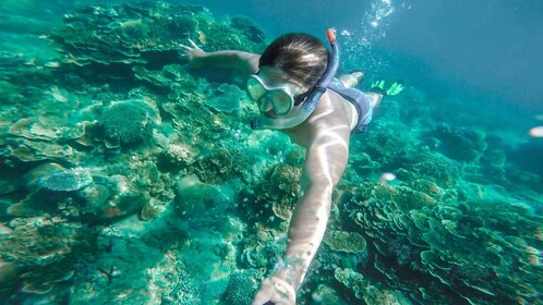 Cala Gonone: Snorkelling in the Orosei Gulf