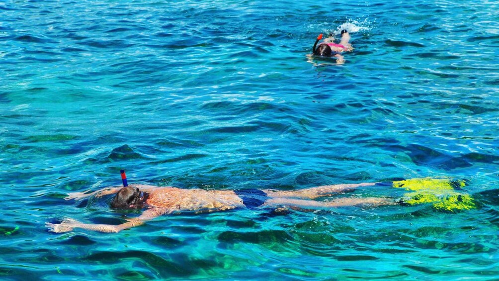 Picture 7 for Activity Cala Gonone: Snorkeling in the Orosei Gulf