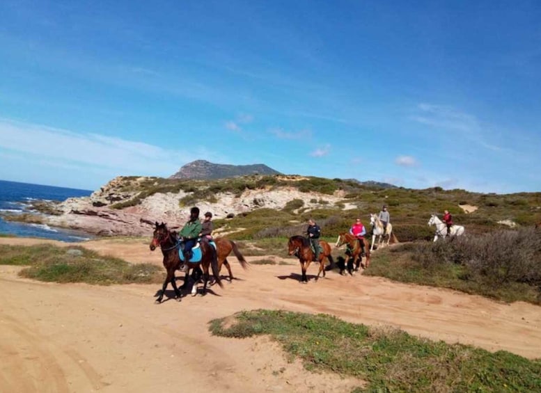 Picture 2 for Activity Alghero: Guided Horseback Ride at Lake Baratz & Porto Ferro