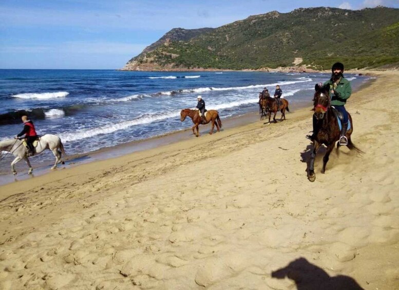 Picture 4 for Activity Alghero: Guided Horseback Ride at Lake Baratz & Porto Ferro